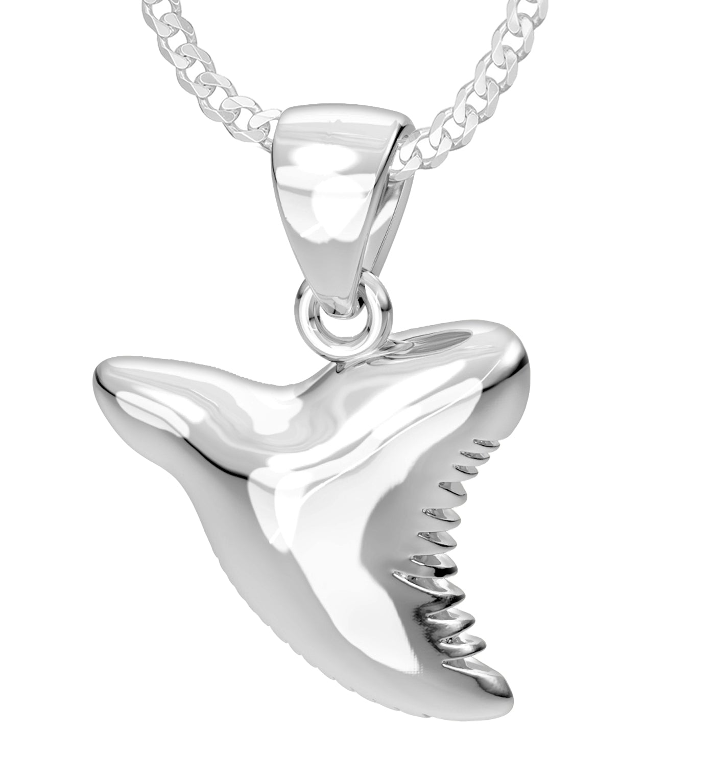 shark tooth necklace