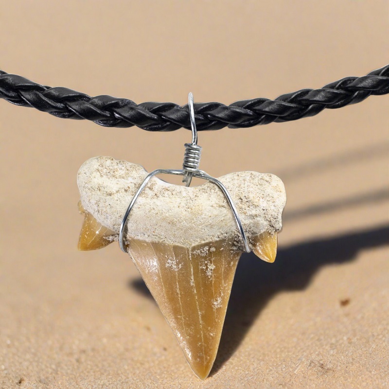 shark tooth necklace