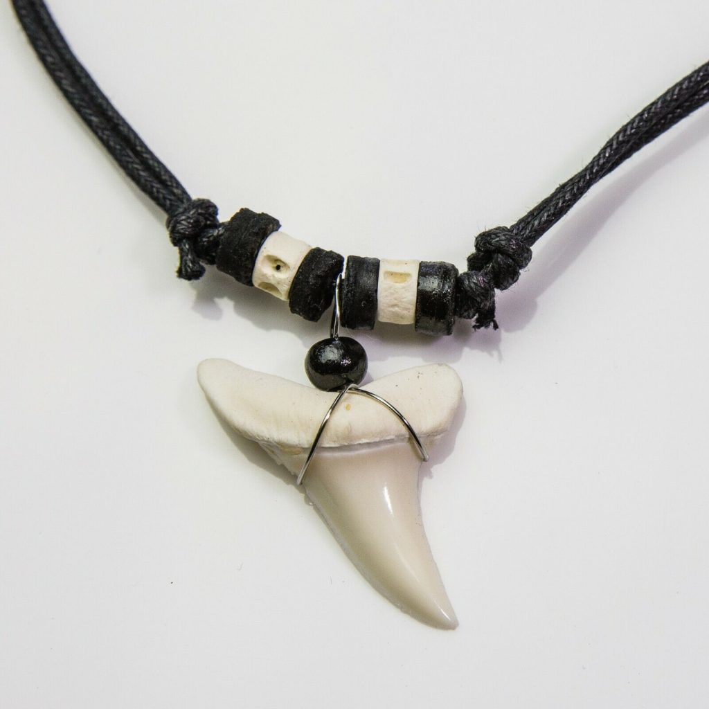 shark tooth necklace