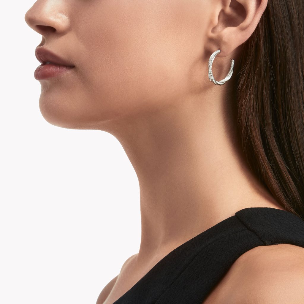 store earrings